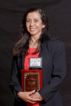 2017 PV Stars Awards Gala